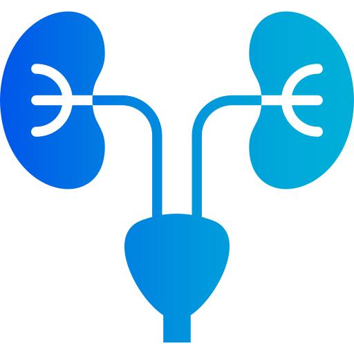 Nephrology Image