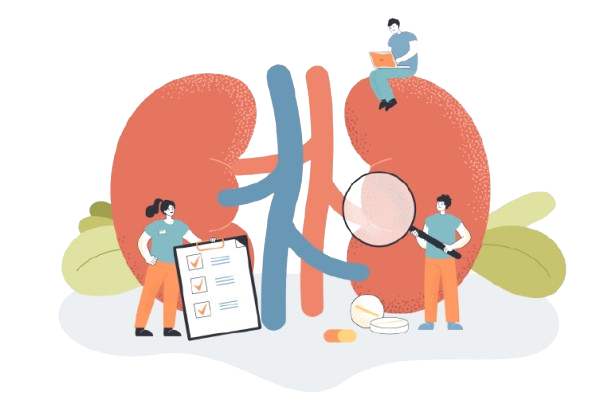Nephrology Image